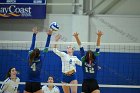 VB vs Salve  Wheaton Women’s Volleyball vs Salve Regina University. : volleyball